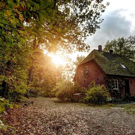 Gut Thansen Forsthaus * Soderstorf